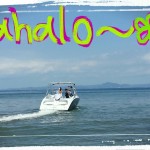 本日、三崎からジェットボートでお越しのお客様ヾ(o´∀｀o)ﾉ❤クルージング❤カヤック❤手ぶらでBBQ