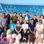 週末のkauwela🌴三浦海岸・手ぶらでBBQ🌴愛犬と海遊び🐶ワンちゃんDay😍
